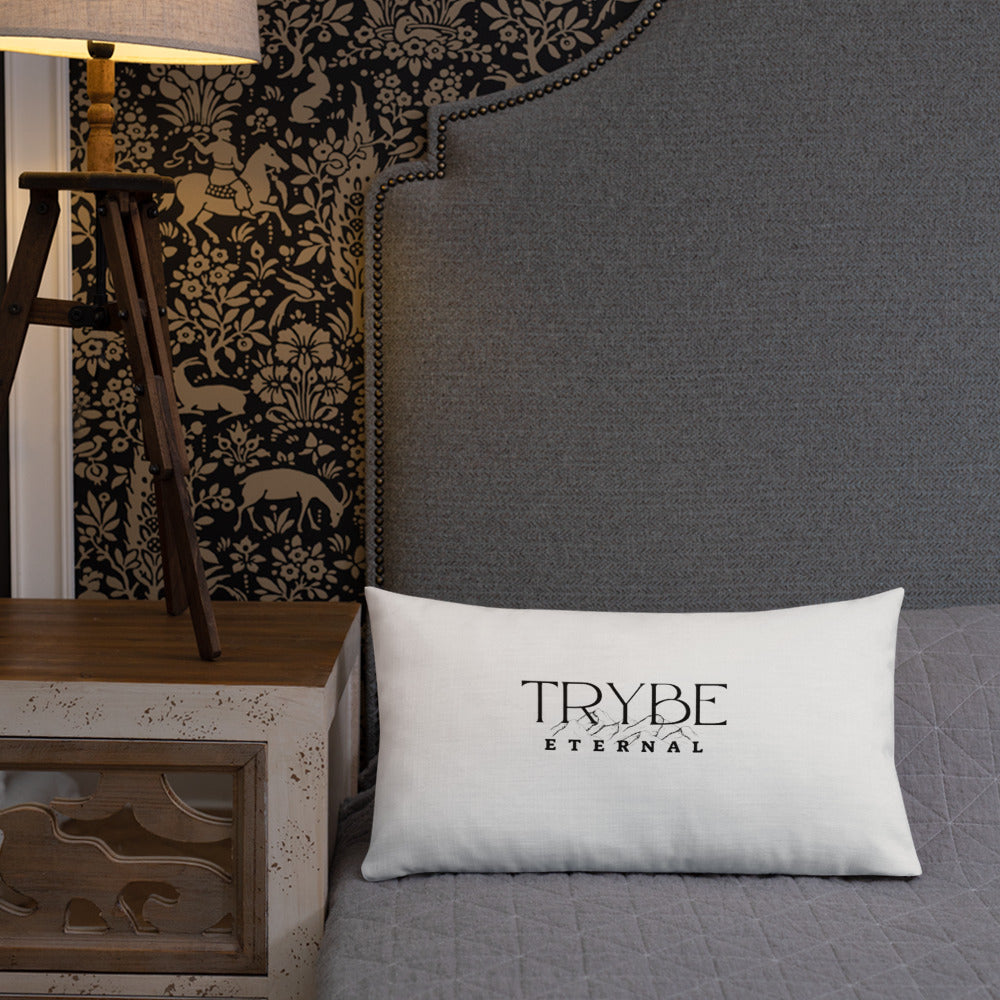 TRYBE Couch Pillow